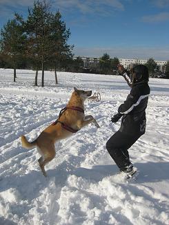 Schneefreu(n)de(n) mit Lia.jpg