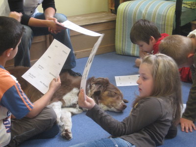 Katzen und Verschiedenes Pfingsten2008 239.jpg