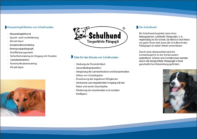 Flyer2.jpg