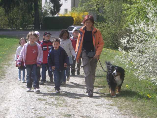 K640 Spaziergang-an der Leine führen.JPG