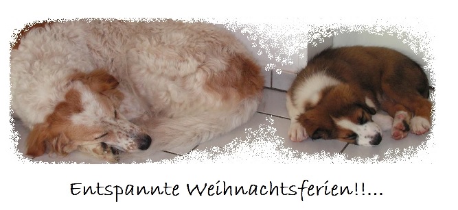 Weihnacht kl.jpg